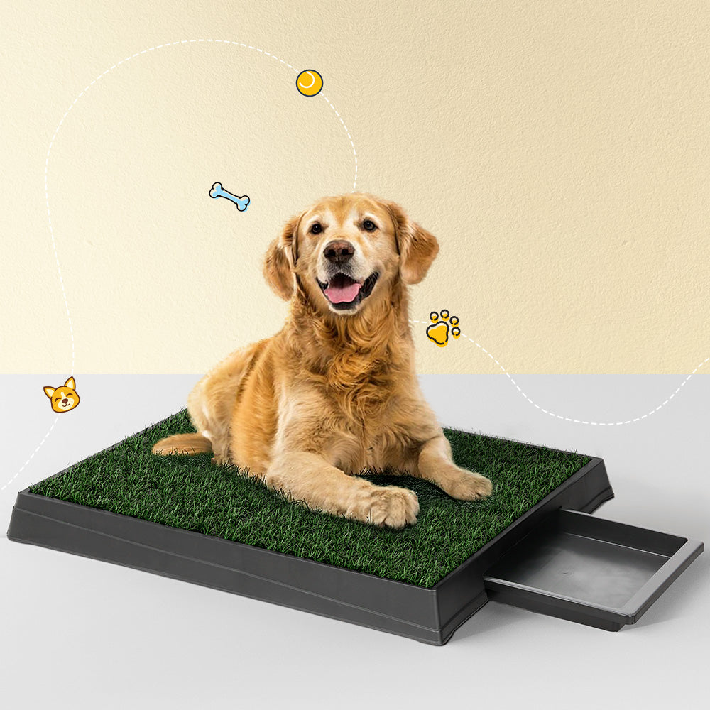 Portable Pet Training Toilet with Tray & 2 Grass Mats